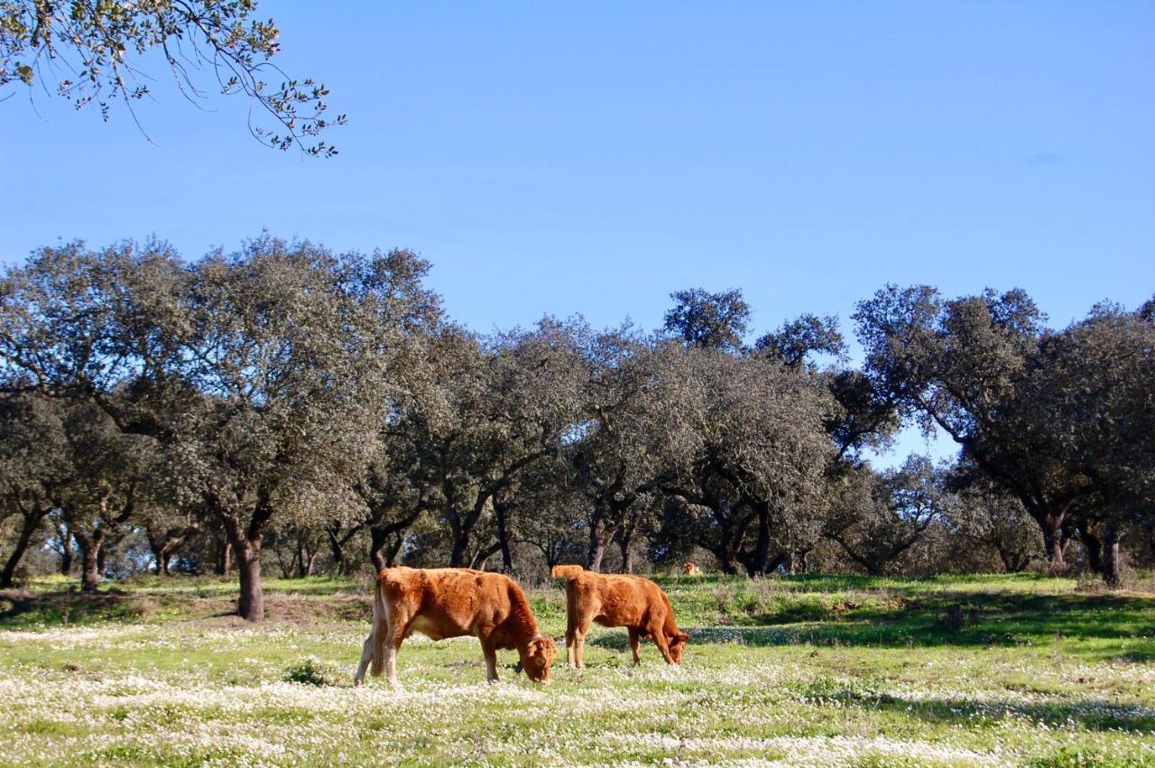 Alcáçovas Herdade Da Burquilheira Family Retreat מראה חיצוני תמונה