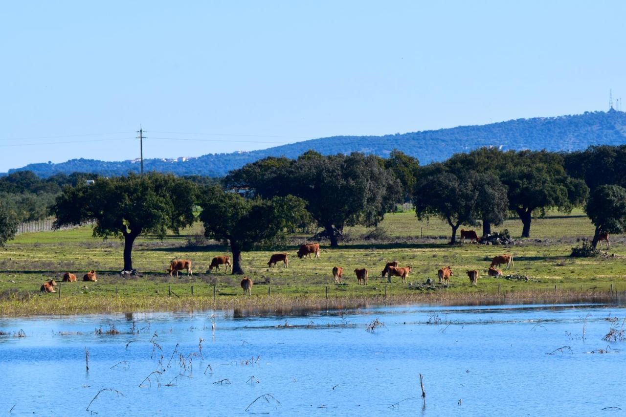 Alcáçovas Herdade Da Burquilheira Family Retreat מראה חיצוני תמונה