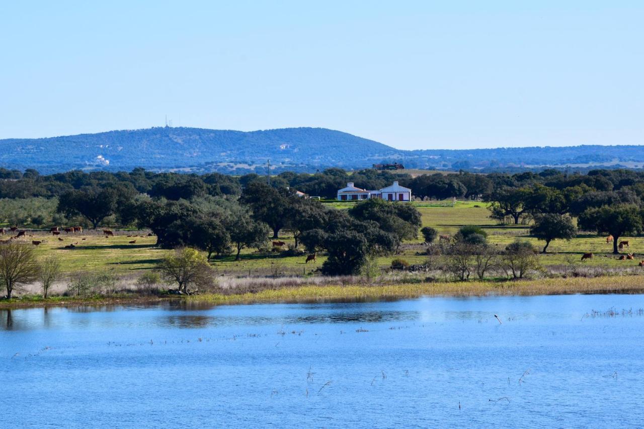 Alcáçovas Herdade Da Burquilheira Family Retreat מראה חיצוני תמונה