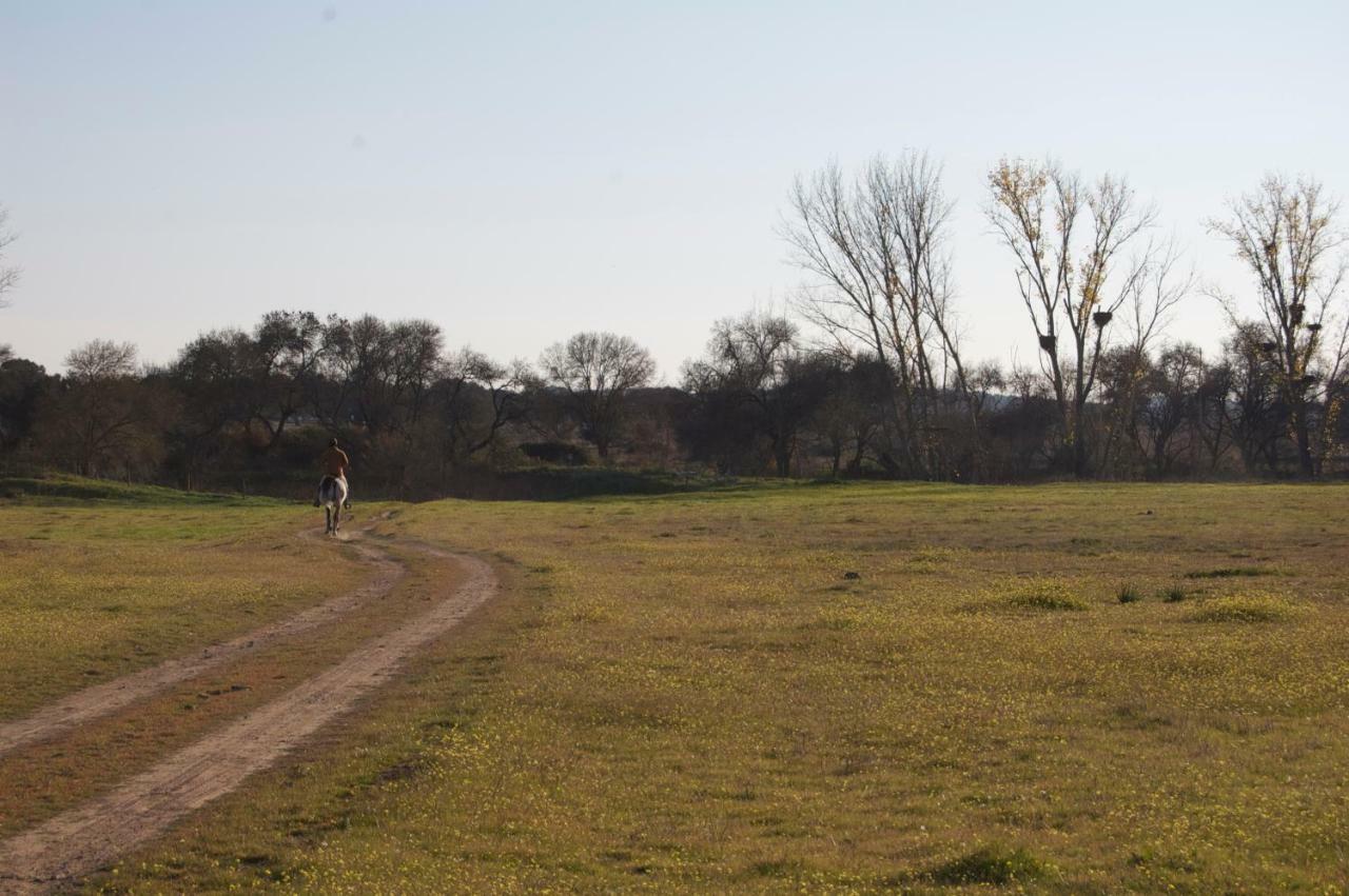 Alcáçovas Herdade Da Burquilheira Family Retreat מראה חיצוני תמונה