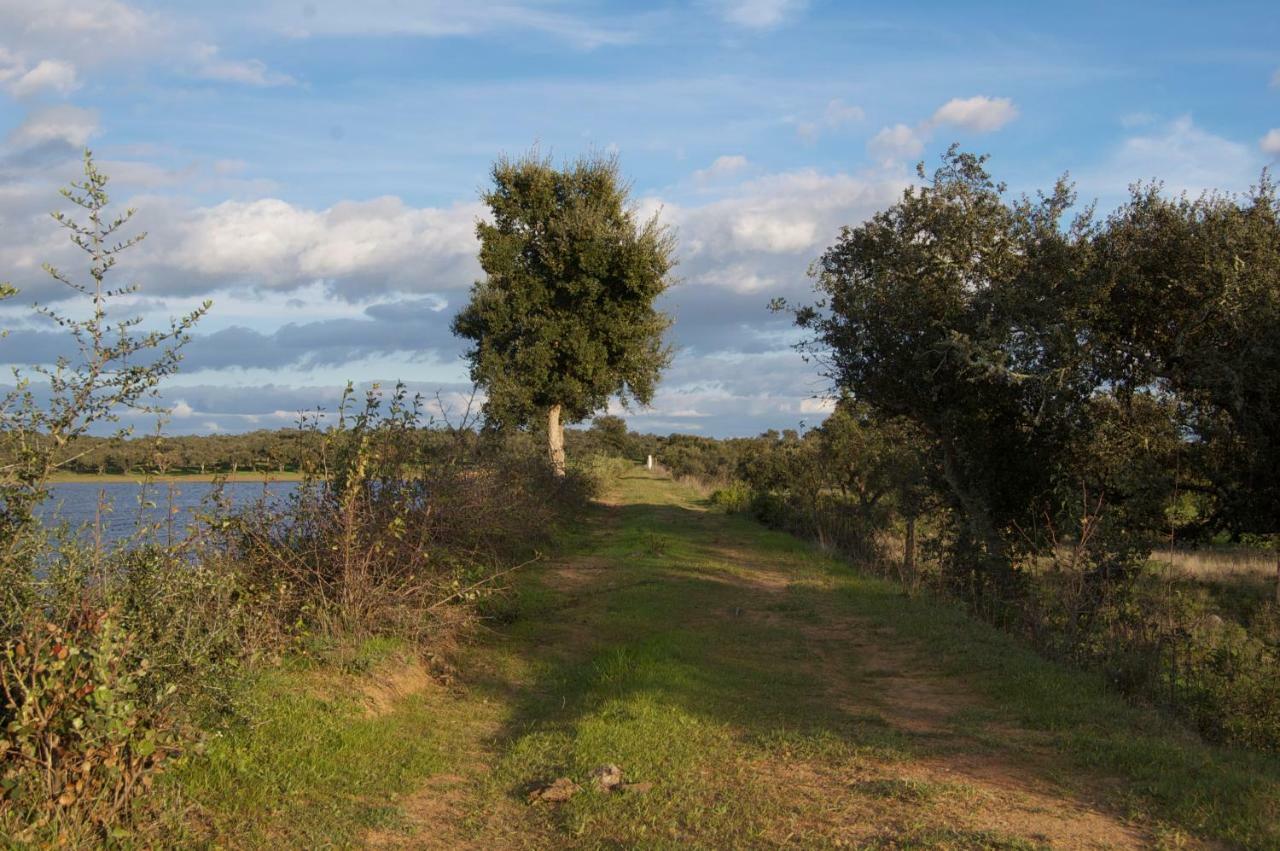 Alcáçovas Herdade Da Burquilheira Family Retreat מראה חיצוני תמונה