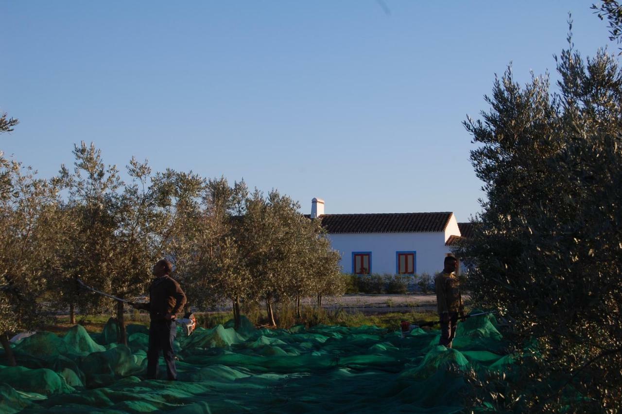 Alcáçovas Herdade Da Burquilheira Family Retreat מראה חיצוני תמונה