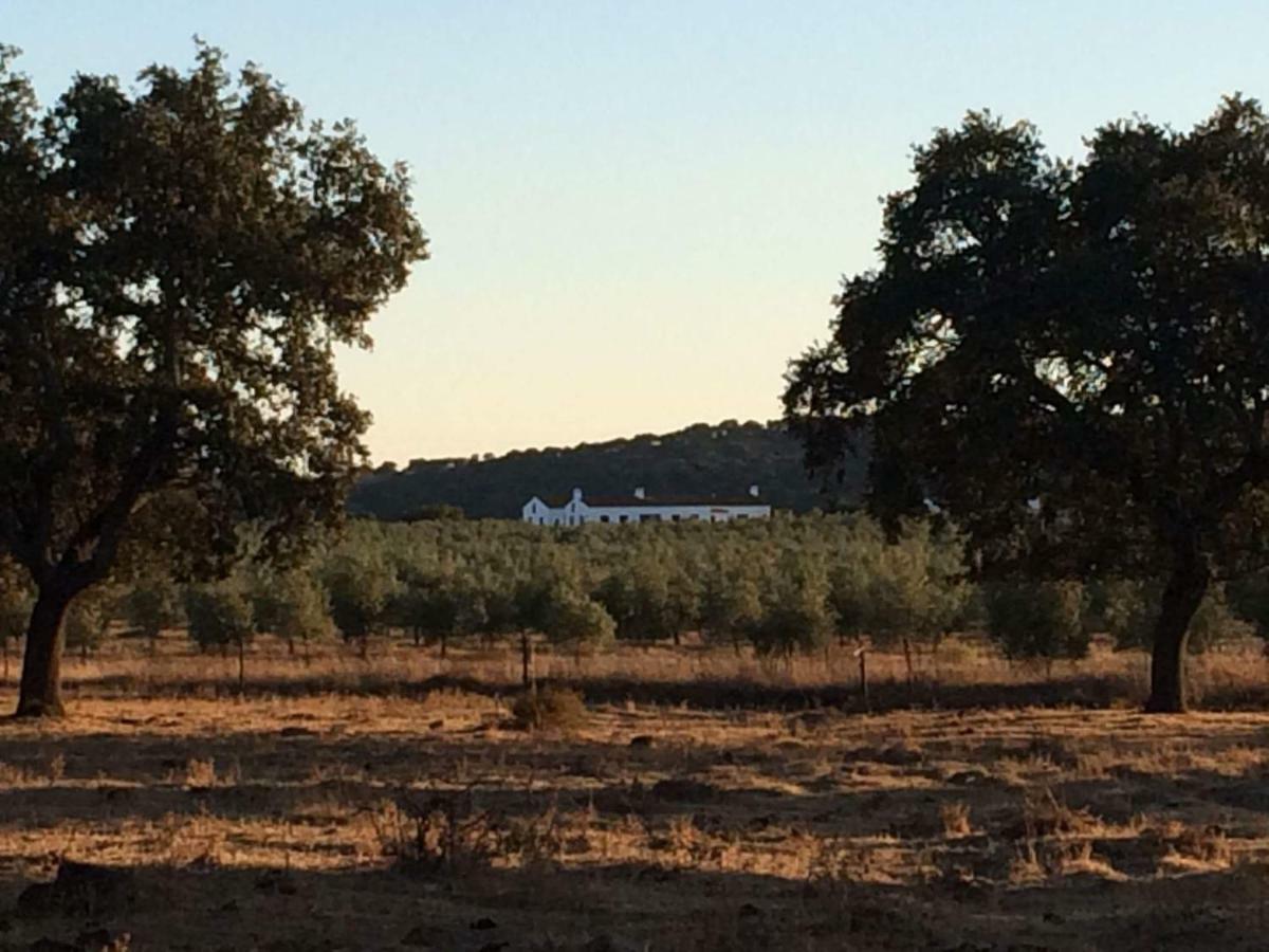 Alcáçovas Herdade Da Burquilheira Family Retreat מראה חיצוני תמונה